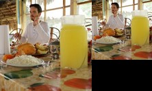 Ecological Jungle Trips & Amazon Lodge