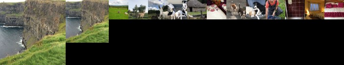 Hillview Farm House B&B