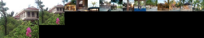 19th Century- Cat Bien Farmstay Resort