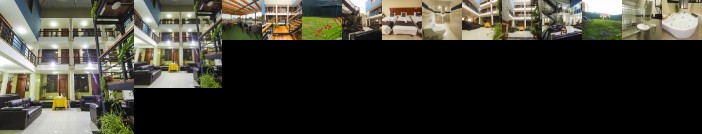 Hotel La Casona Del Olivo Arequipa