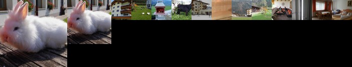 Apparthotel Stoanerhof