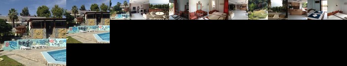 Forest park Kassandra