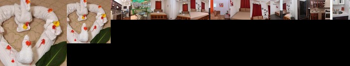 Rainforest Haven Inn