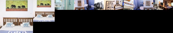Blue Elephant Tourist Guesthouse