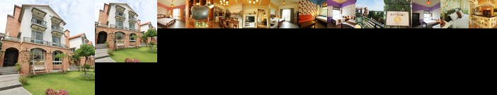 The Donkey Without Curly Lashes