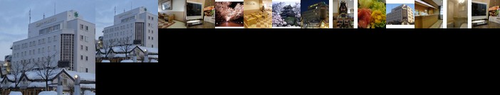 Takada Terminal Hotel