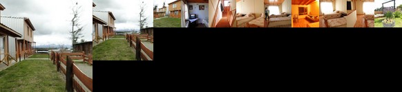 Cabanas Dolly Tolhuin