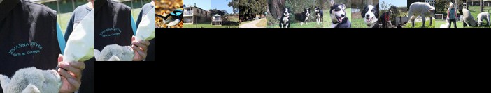 Johanna River Farm & Cottages