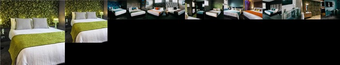 Junction Hotel Newcastle