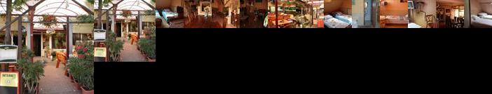 Kiskakas Vendeglo es Panzio