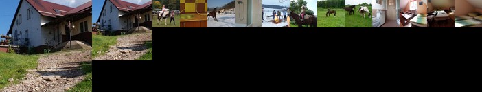 Agroturystyka Pod Rumakiem