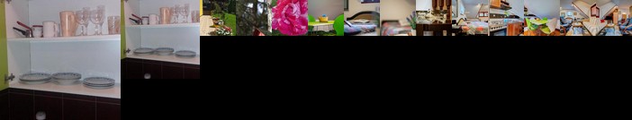 Villa Ruza Apartments