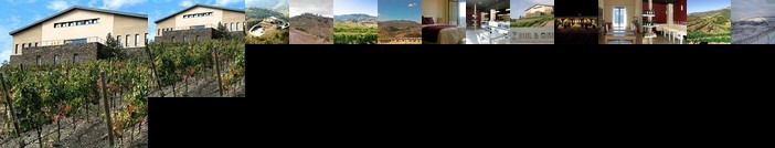 Hotel-Celler Buil & Gine