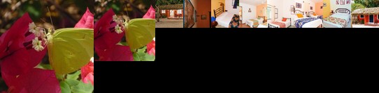 Sacbe Boutique Inn Formerly Sacbe Bungalows