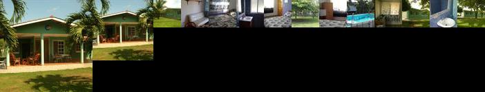 Bed and Breakfast Little Italy