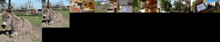 Agriturismo Le Clementine