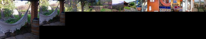 Quinta Maria en la Ruta del Vino