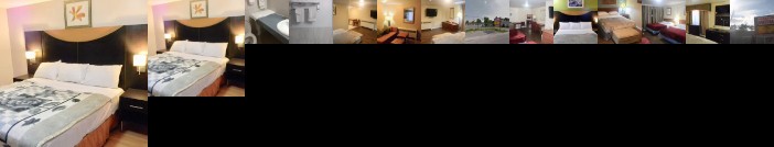 American Plaza Motel