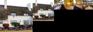 Auld Mother Hubbards