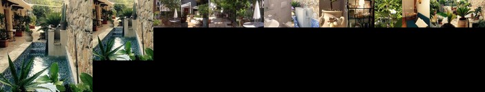 Il Giardino Dei Limoni