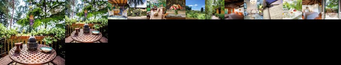 Casa Matilde Massarosa