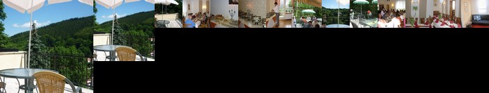 Hotel Waldhaus-Hutzelhoh