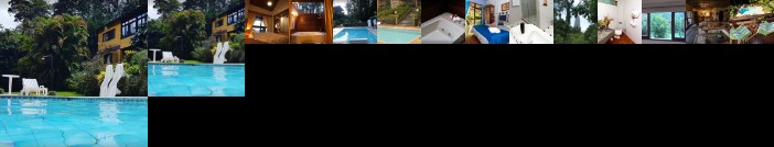 Bromelia Sabia & Cia