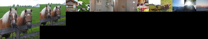 BIO-Bauernhof Kurzeck