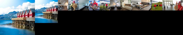 Lofoten Rorbuopplevelser