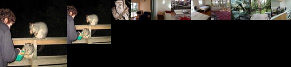 Clarelee Belgrave Accommodation