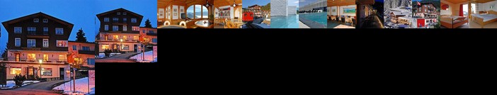 Hotel Restaurant Alpina Weggis