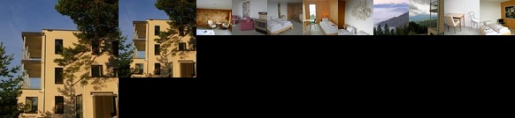 Kulturfrachter Alpenhof