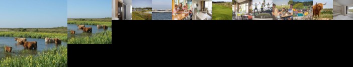 Texelcamping Loodsmansduin