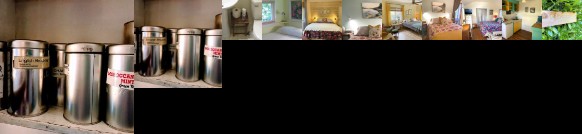 Wisteria Guest House