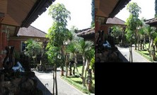 Dewata Homestay