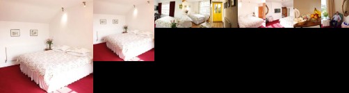 Swan Guest House - London Heathrow