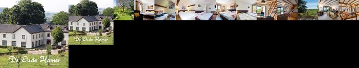 Aparthotel De Oude Hamer