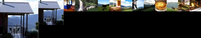 Spring Creek Mountain Cafe & Cottages