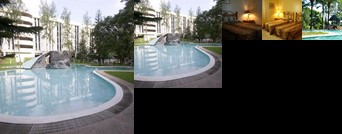 Zoobic Lodge @ Tiara