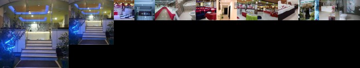 Hotel Green View Palace