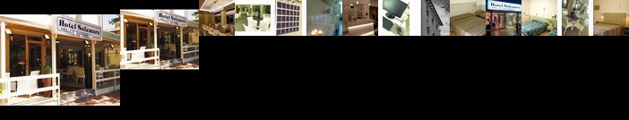 Hotel Solemare Cesenatico