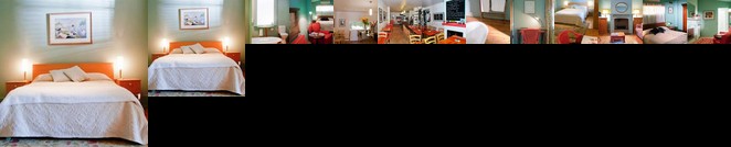 Fig Cafe and Accommodation