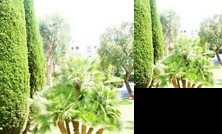 Appartement 'Palm Beach'