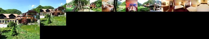 Guesthouse Villa Zelenjak Ventek