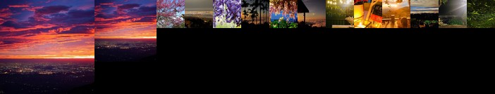 Starlight Forest B&B