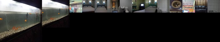 Halina Hotel Avenida