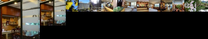 Ginkgo Hotel Lugu Township