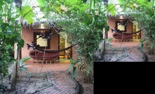 Botanica Guesthouse