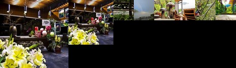 Alishan Lauya Homestay