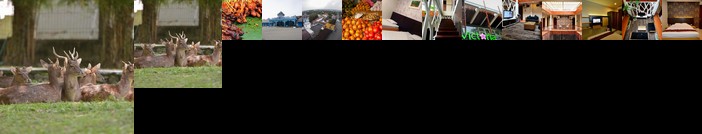 Victoria Guest House Solo